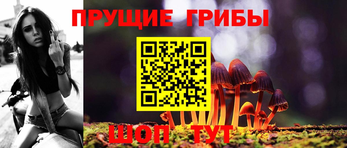 Псилоцибиновые грибы мухоморы  Вход с VPN  Брянск 