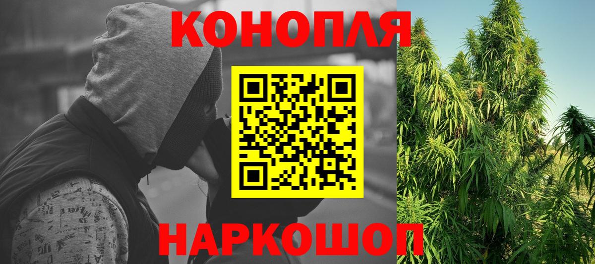 Каннабис Bruce Banner  Марихуана план  МАРИХУАНА семена  Брянск  Вход с VPN  Каннабис планчик 